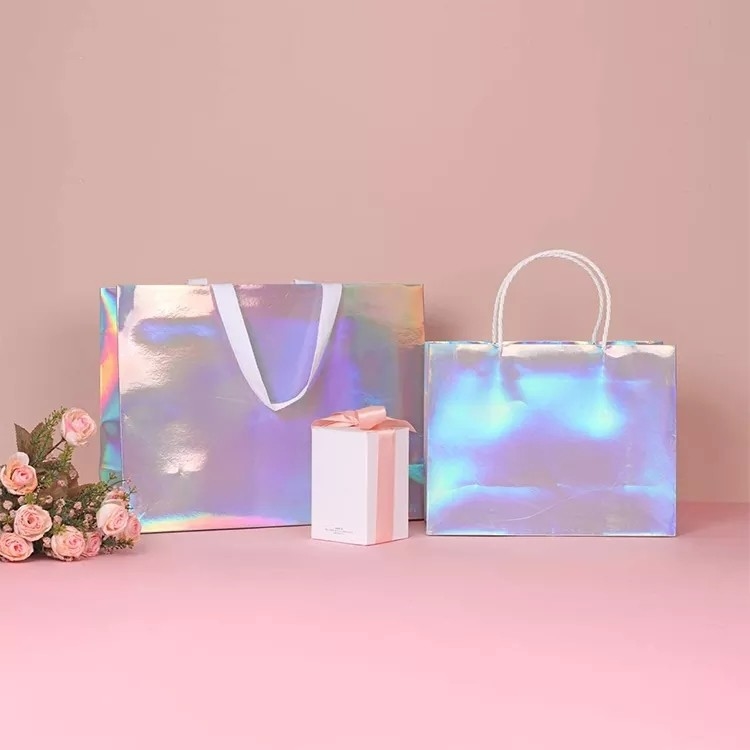 بريق الفضة احباط الملابس الناقل الحقائب الثلاثية الأبعاد Cmyk اللون